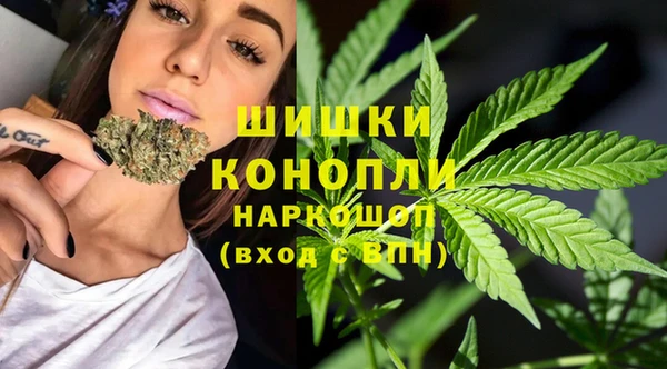 spice Аркадак